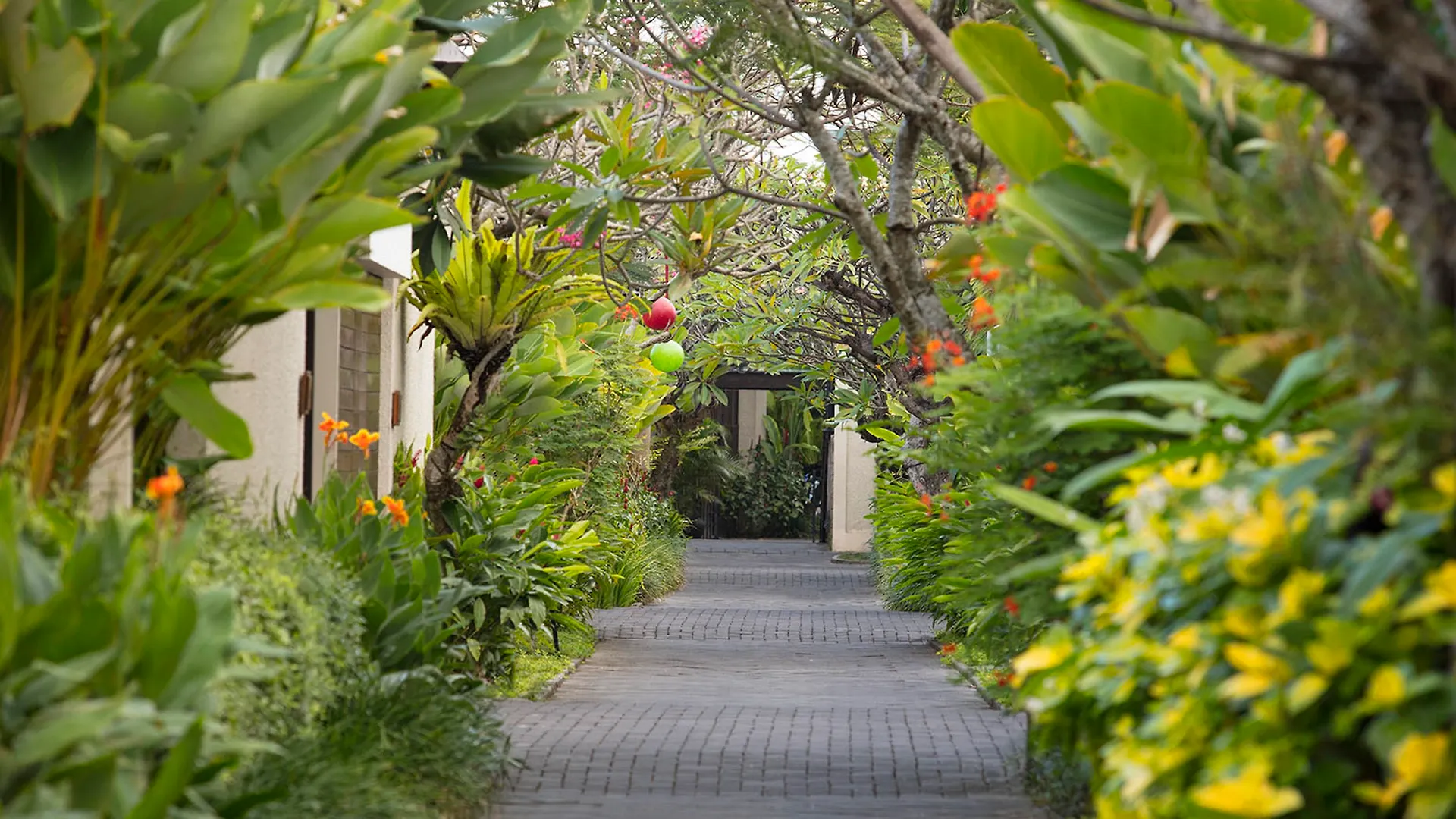 Berry Amour Romantic Villas Σεμινιάκ