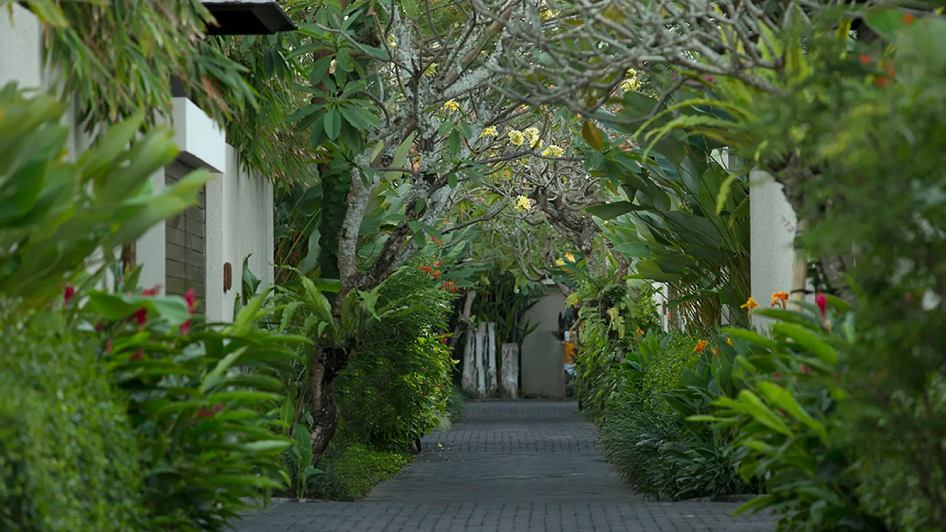 Berry Amour Romantic Villas Seminyak